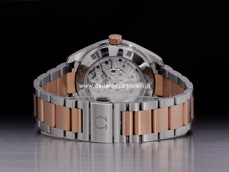 231.20 42.21 06.001