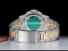 Rolex GMT-Master II  Watch  16713