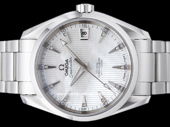 Omega Seamaster Aqua Terra 150M Co-Axial  Watch  231.10.39.21.03.002