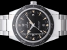 Omega Seamaster 300 Master Co-Axial  Watch  233.30.41.21.01.001 
