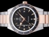Omega Seamaster 300 Master Co-Axial  Watch  233.20.41.21.01.001