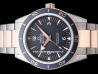 Omega Seamaster 300 Master Co-Axial  Watch  233.60.41.21.03.001