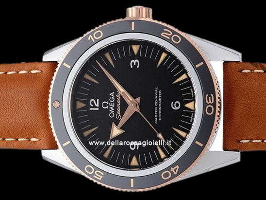 Omega Seamaster 300 Master Co-Axial  Watch  233.22.41.21.01.002