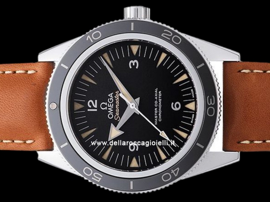 Omega Seamaster 300 Master Co-Axial  Watch  233.32.41.21.01.002