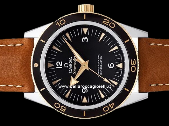 Omega Seamaster 300 Master Co-Axial  Watch  233.22.41.21.01.001