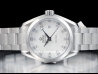 Omega Seamaster Aqua Terra 150M Quartz  Watch  231.10.30.60.55.001